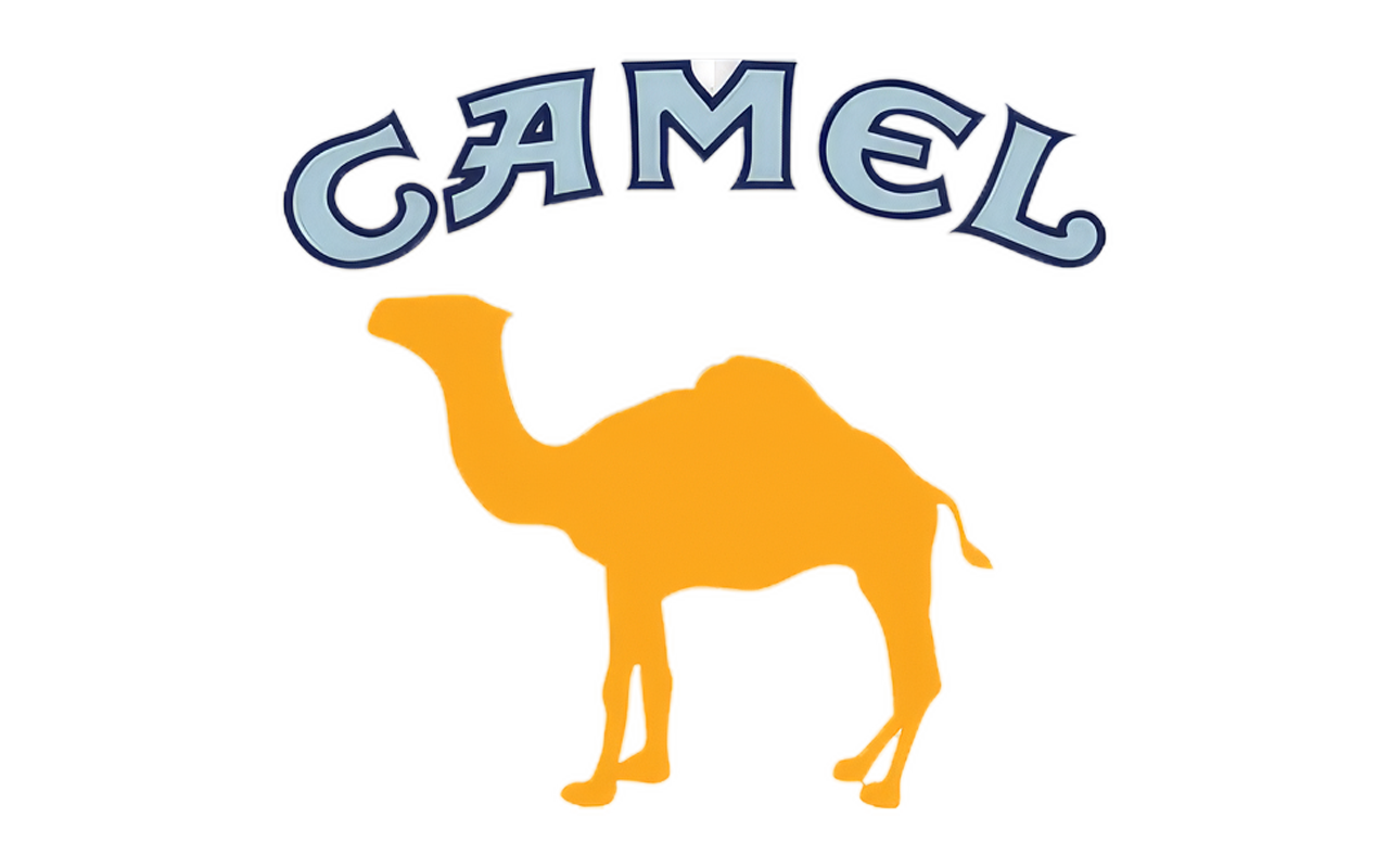 Camel